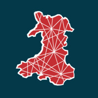 BSV Wales logo, BSV Wales contact details