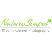 NatureScapes.online logo, NatureScapes.online contact details