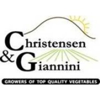 Christensen & Giannini, LLC logo, Christensen & Giannini, LLC contact details