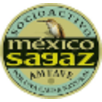 Mexico Sagaz AMTAVE logo, Mexico Sagaz AMTAVE contact details