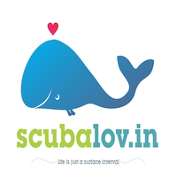 Scubalovin (Scuba Loving Dive & Travel Pvt Ltd) logo, Scubalovin (Scuba Loving Dive & Travel Pvt Ltd) contact details