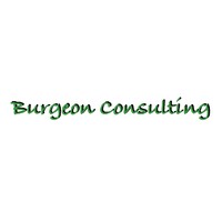 Burgeon Consulting logo, Burgeon Consulting contact details