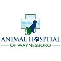 Animal Hospital Of Waynesboro logo, Animal Hospital Of Waynesboro contact details