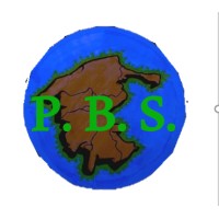 Pangea Business Solutions, Inc. logo, Pangea Business Solutions, Inc. contact details