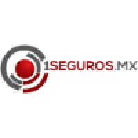 1SEGUROS.MX, AGENTE DE SEGUROS Y DE FIANZAS SA DE CV logo, 1SEGUROS.MX, AGENTE DE SEGUROS Y DE FIANZAS SA DE CV contact details