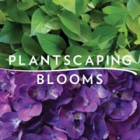 Plantscaping, Inc. logo, Plantscaping, Inc. contact details