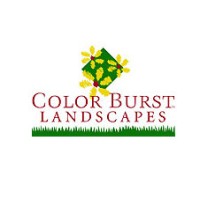 Color Burst Landscapes-Brentwood logo, Color Burst Landscapes-Brentwood contact details