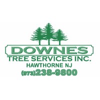 Downes Tree Service logo, Downes Tree Service contact details