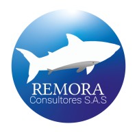 Remora Consultores S.A.S logo, Remora Consultores S.A.S contact details