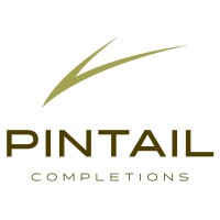 Pintail Completions logo, Pintail Completions contact details