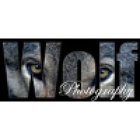 Wolf Photography logo, Wolf Photography contact details