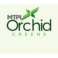 Orchid Greens logo, Orchid Greens contact details