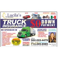 LUCILA'S INSURANCE SERVICES logo, LUCILA'S INSURANCE SERVICES contact details