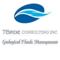 TBirdie Consulting logo, TBirdie Consulting contact details