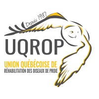 UQROP logo, UQROP contact details