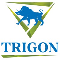 Trigon Creative logo, Trigon Creative contact details