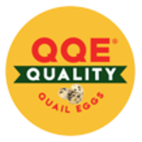 QQE Corp logo, QQE Corp contact details