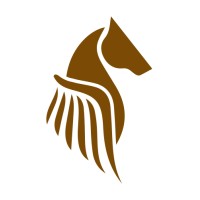 Pegasus Fintech, Inc. logo, Pegasus Fintech, Inc. contact details