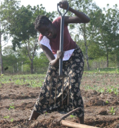 The One Village Plant--WOmen's Development Initiative logo, The One Village Plant--WOmen's Development Initiative contact details