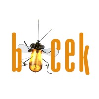 Böcek Yapım logo, Böcek Yapım contact details