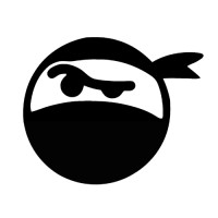 Intellectual Ninjas logo, Intellectual Ninjas contact details