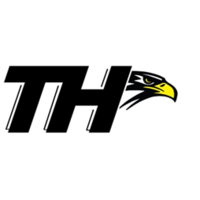 Tiger Hawk Consulting logo, Tiger Hawk Consulting contact details