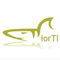 iorTI consulting S.C. logo, iorTI consulting S.C. contact details