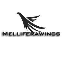 Melliferawings Recruitment Services logo, Melliferawings Recruitment Services contact details