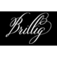 Brillig logo, Brillig contact details