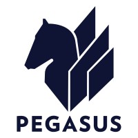 Pegasus Consulting LLC logo, Pegasus Consulting LLC contact details