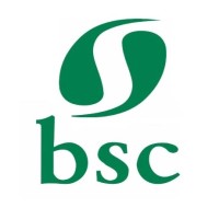 BSC Especialidades Químicas logo, BSC Especialidades Químicas contact details