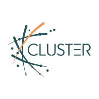 Cluster Consulting logo, Cluster Consulting contact details