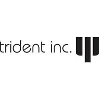 Trident Inc FZ. LLE. logo, Trident Inc FZ. LLE. contact details