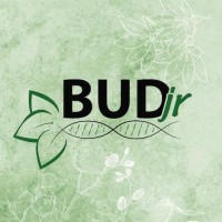 BUDjr logo, BUDjr contact details