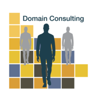 Domain Consulting logo, Domain Consulting contact details