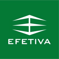 EFETIVA Segurança logo, EFETIVA Segurança contact details