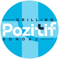 Pozitif Sondaj logo, Pozitif Sondaj contact details