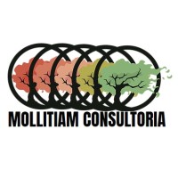 MOLLITIAM Consultoria LTDA logo, MOLLITIAM Consultoria LTDA contact details