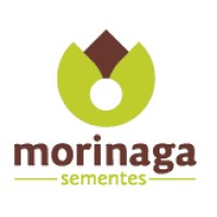 Morinaga Sementes logo, Morinaga Sementes contact details