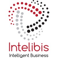 Intelibis logo, Intelibis contact details