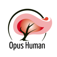 Opus Human Treinamento e Assessoria Ltda. logo, Opus Human Treinamento e Assessoria Ltda. contact details