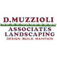 D. Muzzioli Associates logo, D. Muzzioli Associates contact details