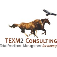 TExM2 Consulting logo, TExM2 Consulting contact details