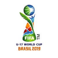 FIFA U-17 World Cup Brazil 2019 Local Organising Committee logo, FIFA U-17 World Cup Brazil 2019 Local Organising Committee contact details