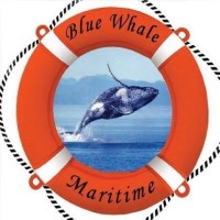 BLUE WHALE MARITIME PVT. LTD logo, BLUE WHALE MARITIME PVT. LTD contact details