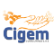 Cigem Consultores S.A.S logo, Cigem Consultores S.A.S contact details