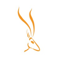 Gazelle Advisors logo, Gazelle Advisors contact details