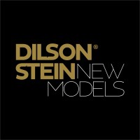 Dilson Stein New Models logo, Dilson Stein New Models contact details