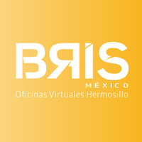 BRIS México logo, BRIS México contact details