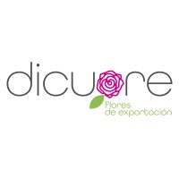 Dicuore Colombia logo, Dicuore Colombia contact details